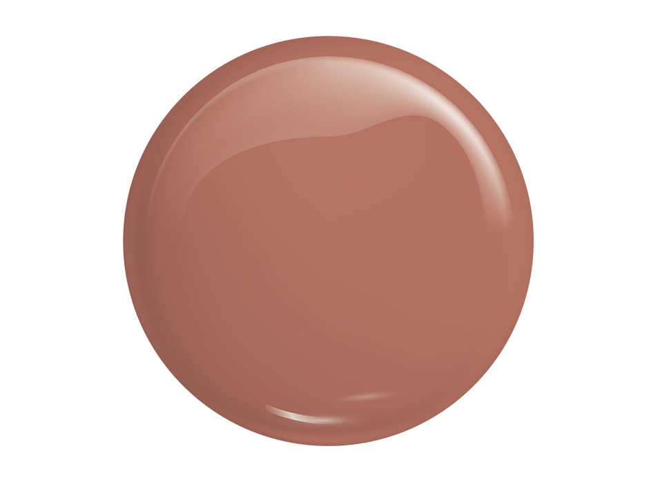 GEL POLISH COLOR 343 - slika 2