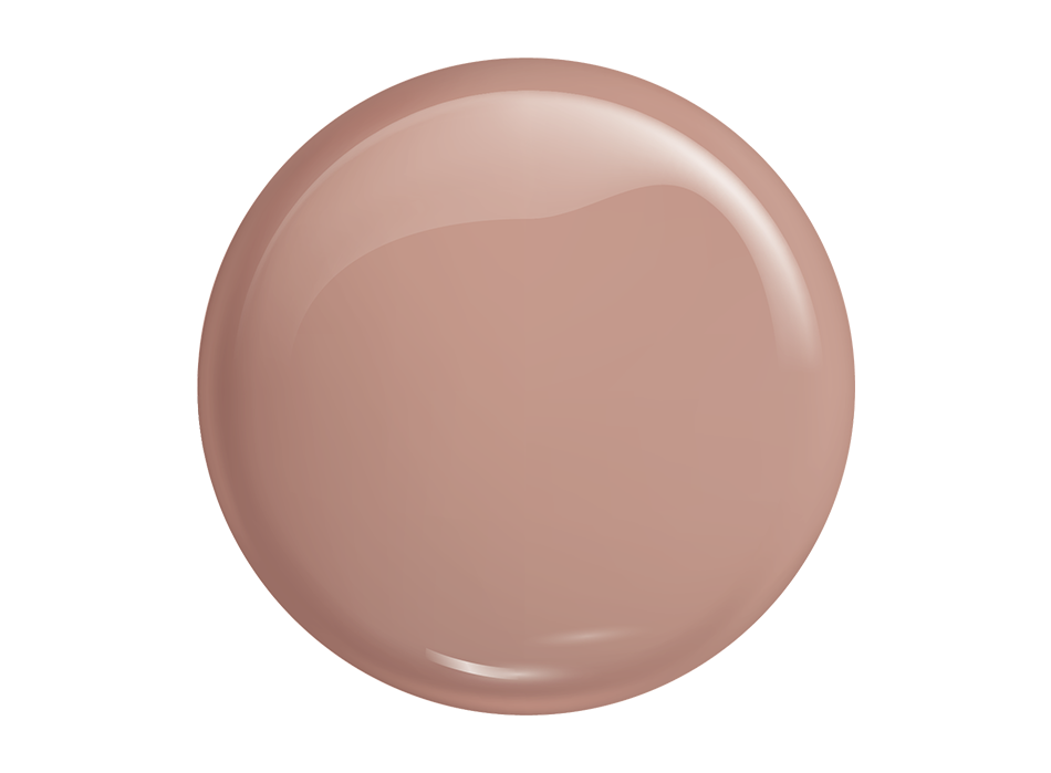 GEL POLISH COLOR 344 - slika 2